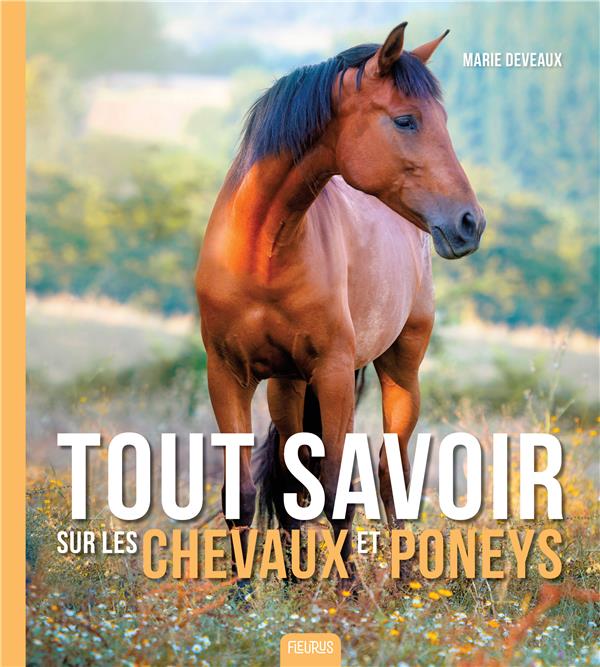 LES CHEVAUX ET PONEYS