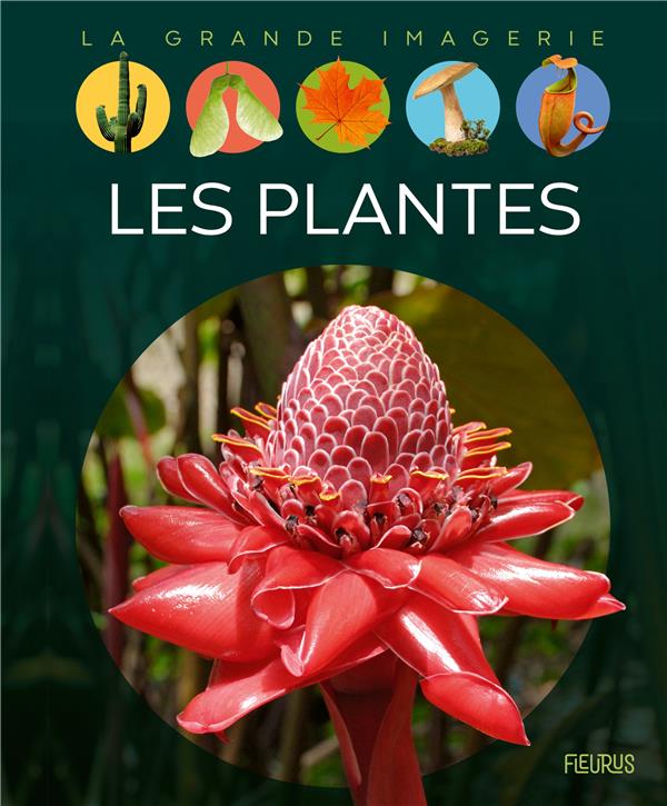 LES PLANTES