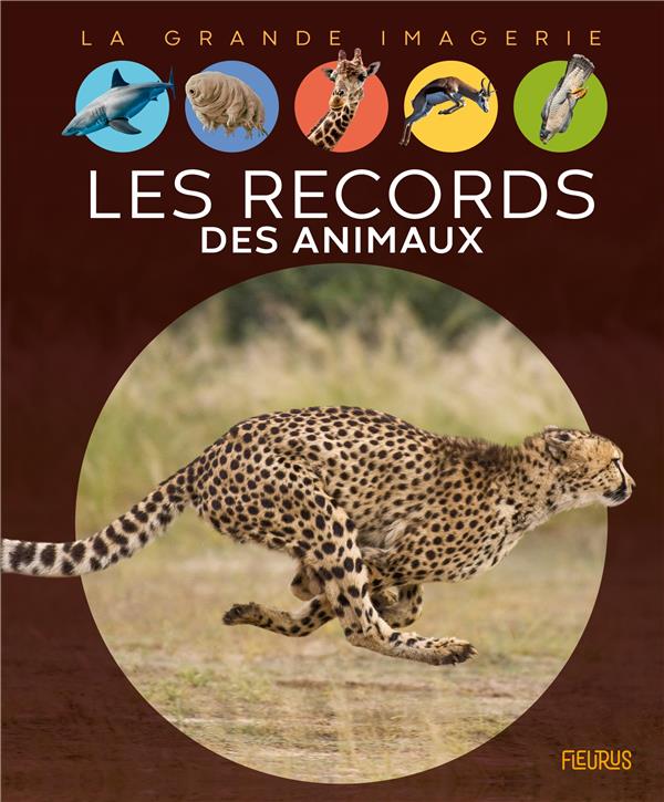 LES RECORDS DES ANIMAUX