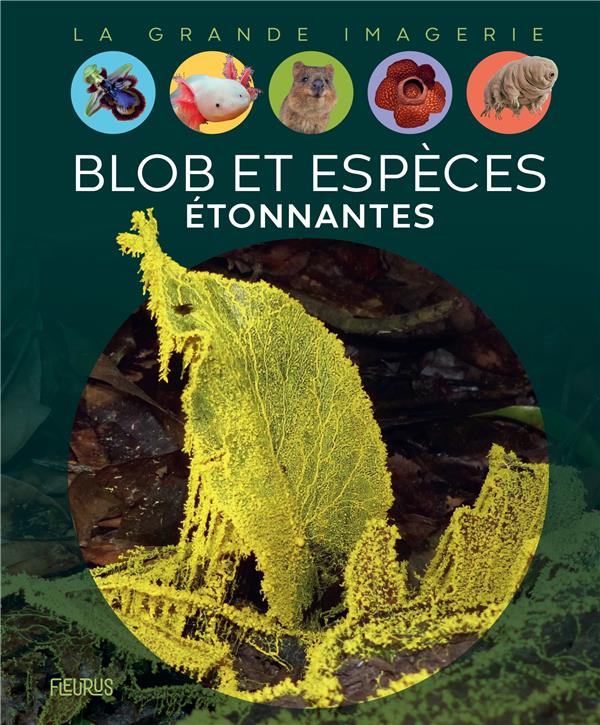 BLOB ET ESPECES ETONNANTES