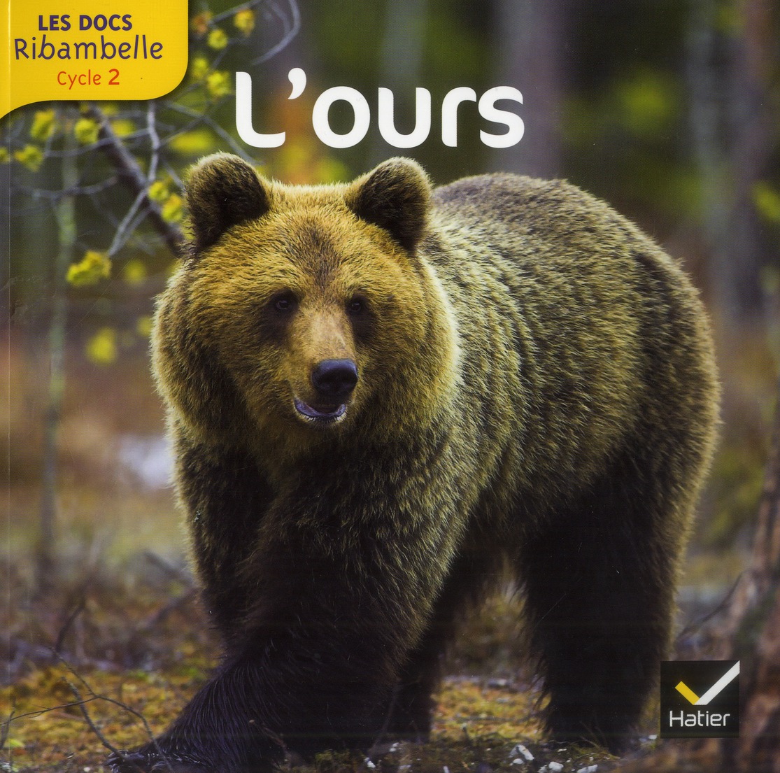 LES DOCS RIBAMBELLE CYCLE 2 ED. 2013 - L'OURS