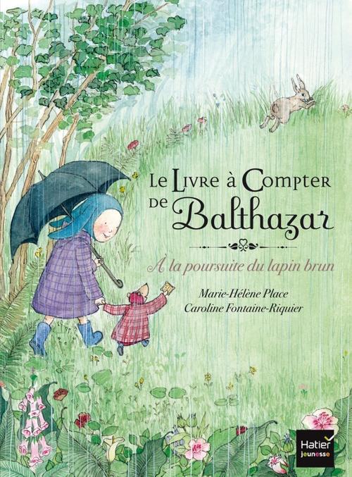 LE LIVRE A COMPTER DE BALTHAZAR - A LA POURSUITE DU LAPIN BRUN - PEDAGOGIE MONTESSORI