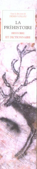 LA PREHISTOIRE - HISTOIRE ET DICTIONNAIRE - COFFRET