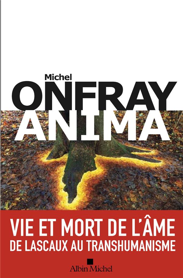 ANIMA - VIE ET MORT DE L'AME - DE LASCAUX AU TRANSHUMANISME