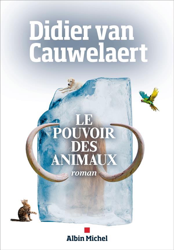 LE POUVOIR DES ANIMAUX