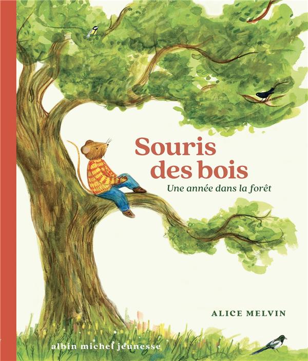 SOURIS DES BOIS - UNE ANNEE DANS LA FORET