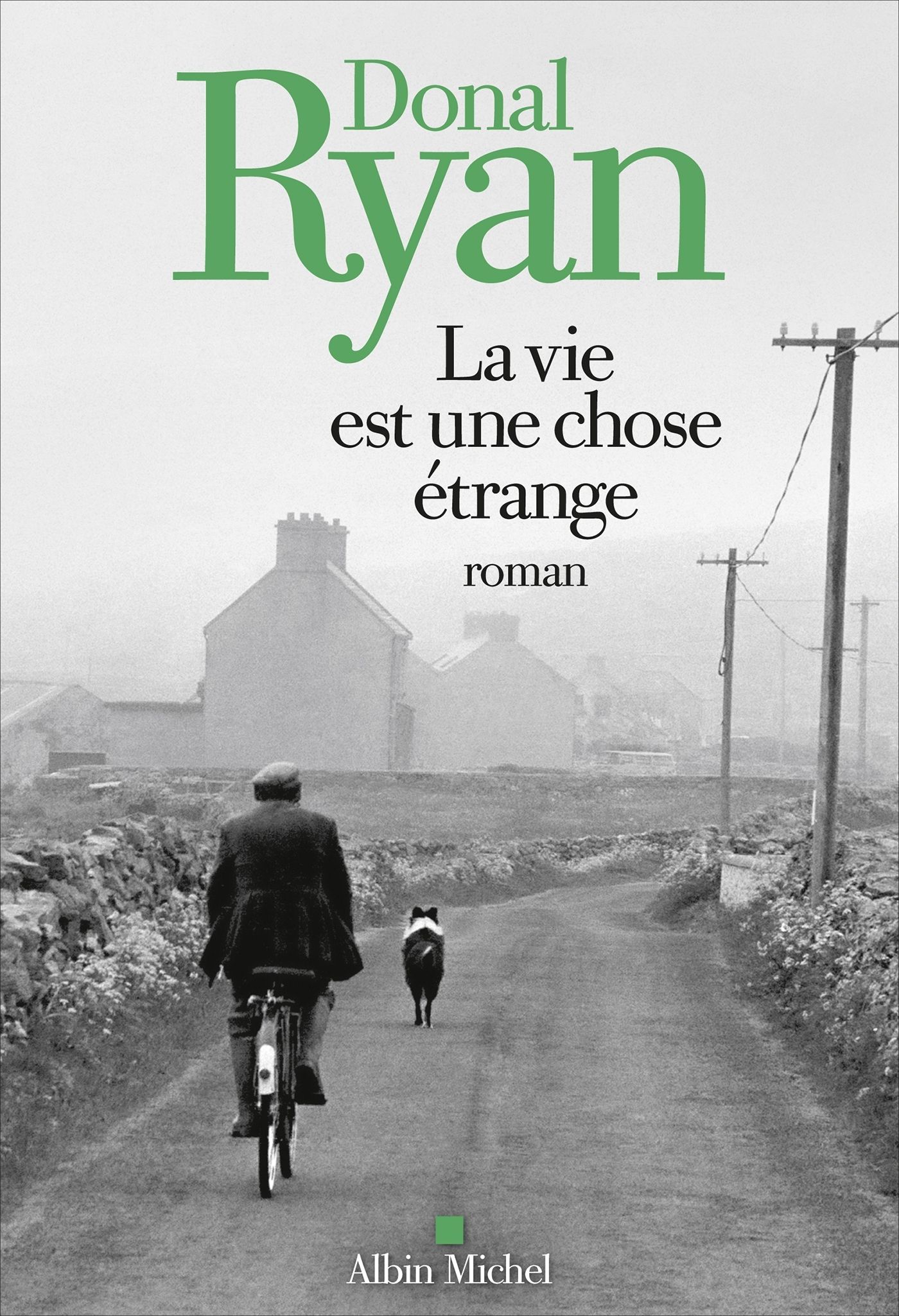 LA VIE EST UNE CHOSE ETRANGE