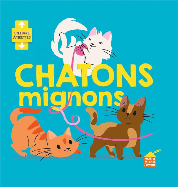 CHATONS MIGNONS