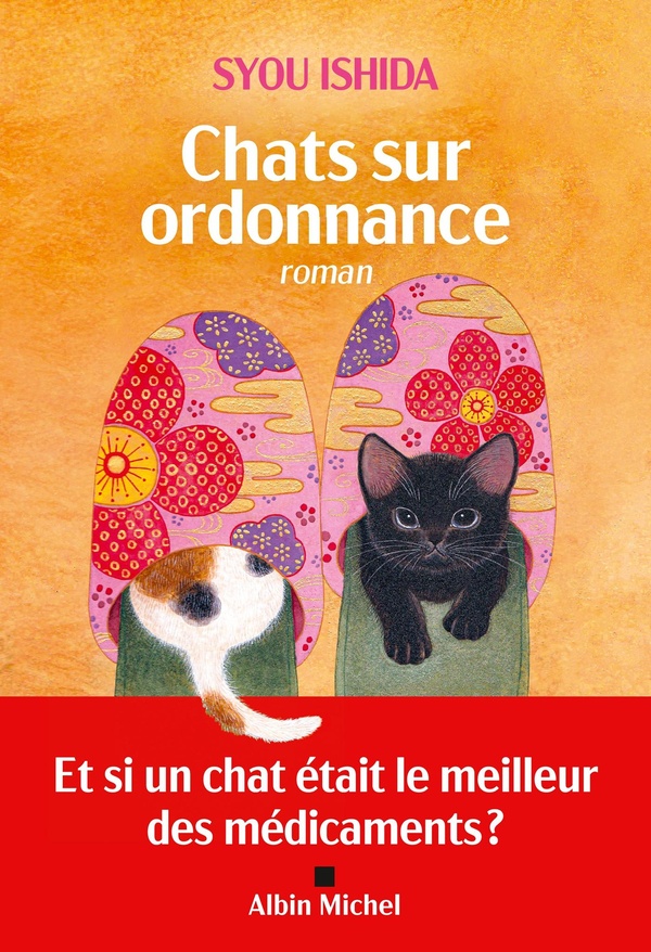 CHATS SUR ORDONNANCE