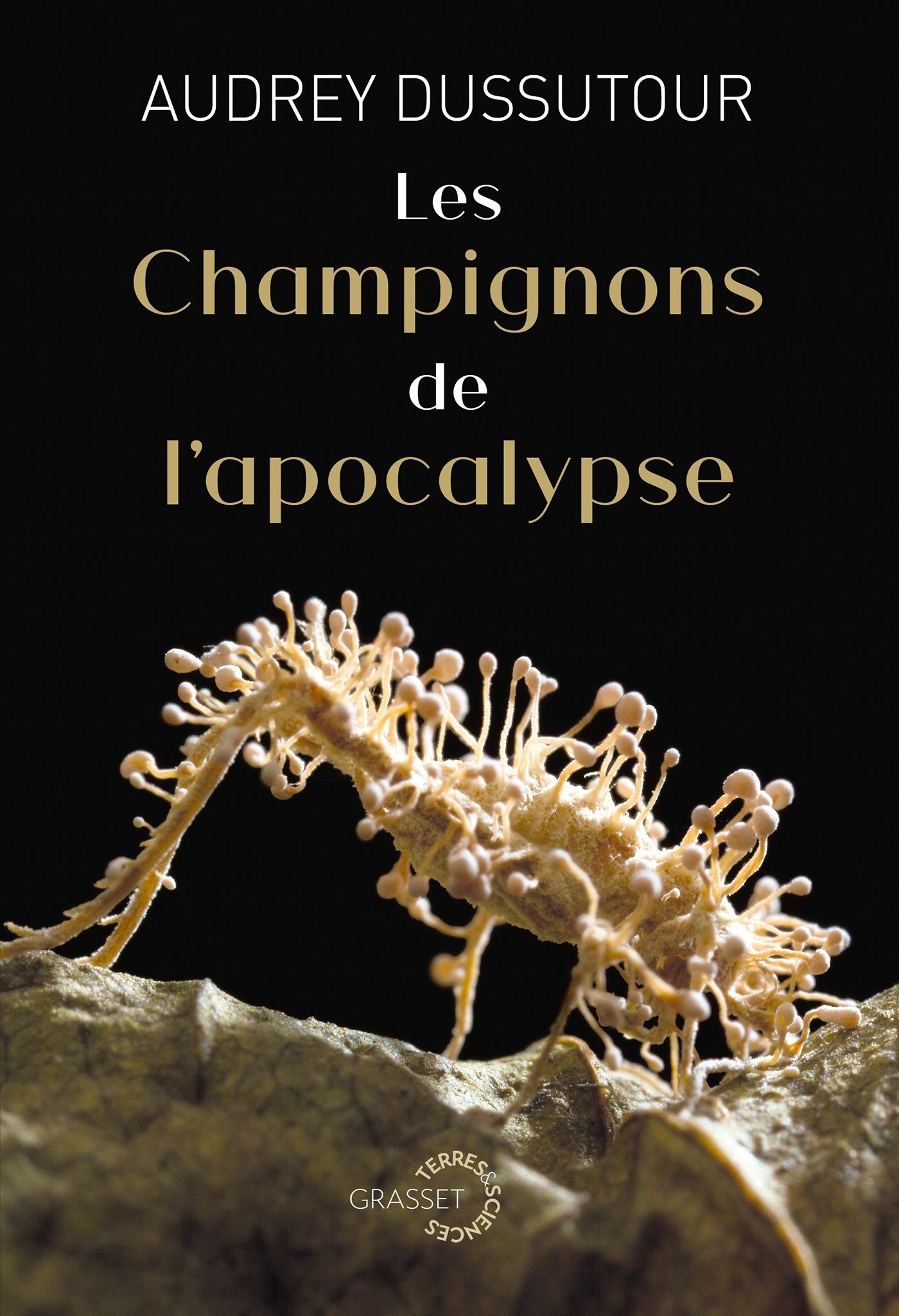 LES CHAMPIGNONS DE L'APOCALYPSE - COLLECTION TERRES ET SCIENCES DIRIGEE PAR MATHIEU VIDARD