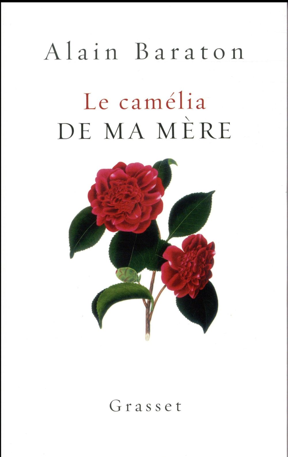 LE CAMELIA DE MA MERE