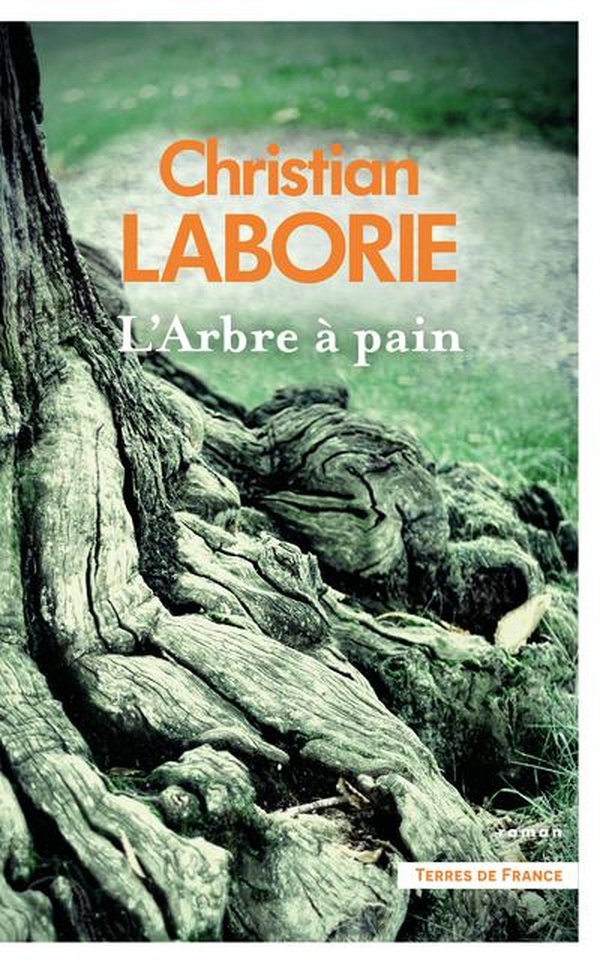 L'ARBRE A PAIN