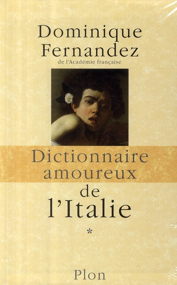 COFFRET DICTIONNAIRE AMOUREUX DE L'ITALIE 2 VOLUMES