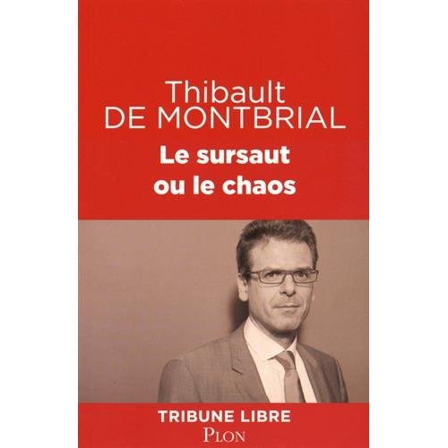 LE SURSAUT OU LE CHAOS