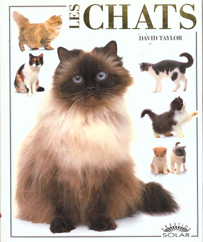 LES CHATS -PRESTIGE-