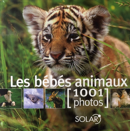 LES BEBES ANIMAUX EN 1001 PHOTOS