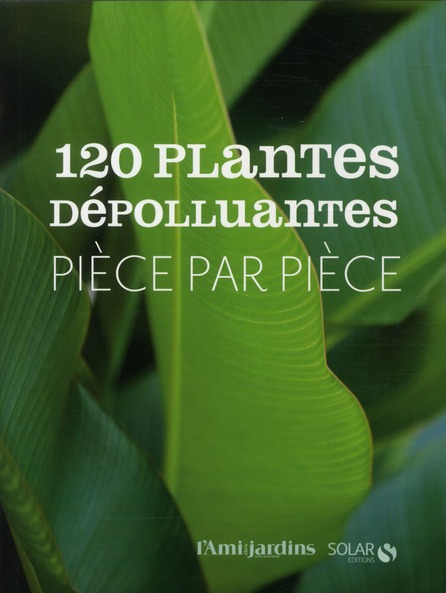 120 PLANTES DEPOLLUANTES