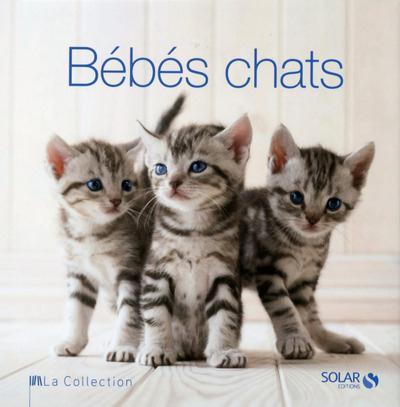 BEBES CHATS - LA COLLECTION