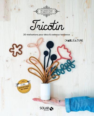 TRICOTIN - 20 REALISATIONS POUR DECO & CADEAUX TENDANCE