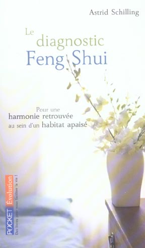 LE DIAGNOSTIC FENG SHUI