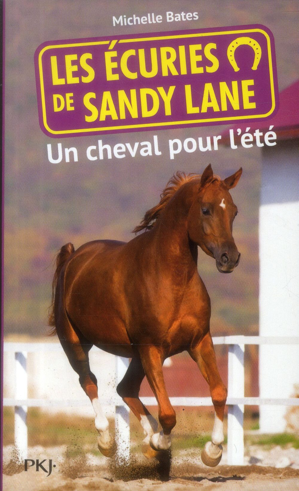 LES ECURIES DE SANDY LANE - NUMERO 1 UN CHEVAL POUR L'ETE - VOL01