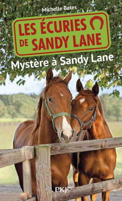 LES ECURIES DE SANDY LANE - NUMERO 3 MYSTERE A SANDY LANE - VOL03