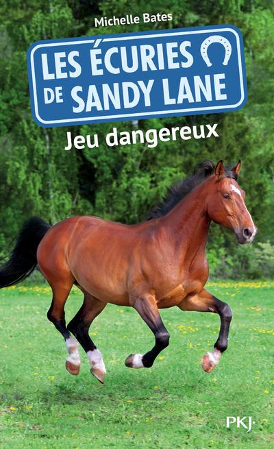 LES ECURIES DE SANDY LANE - NUMERO 6 JEU DANGEREUX - VOL06