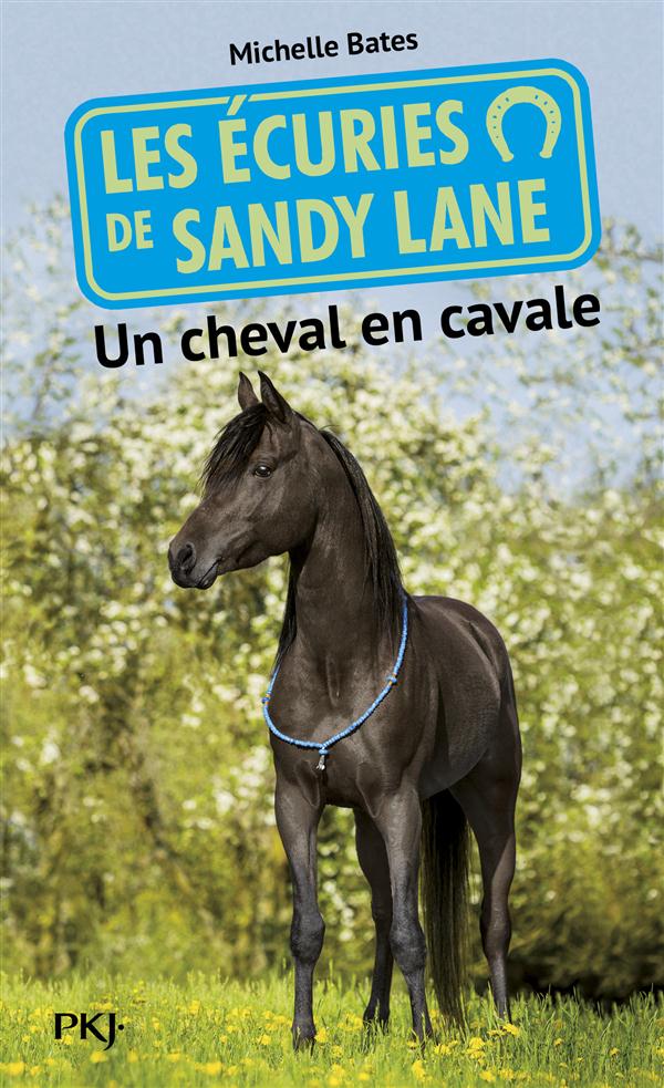 LES ECURIES DE SANDY LANE - NUMERO 7 UN CHEVAL EN CAVALE - VOL07