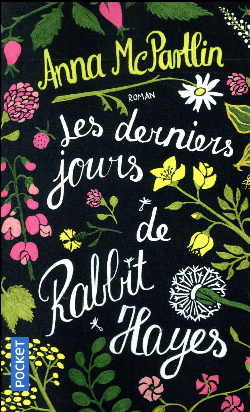 LES DERNIERS JOURS DE RABBIT HAYES