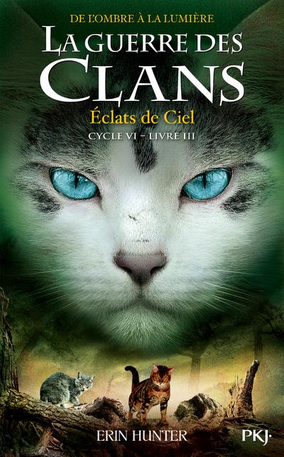 LA GUERRE DES CLANS, CYCLE VI - TOME 3 ECLATS DE CIEL