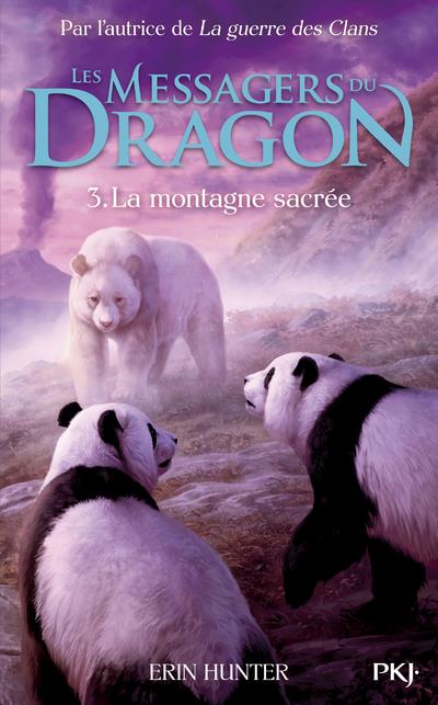 LES MESSAGERS DU DRAGON, CYCLE 1 - TOME 3 LA MONTAGNE AUX DEFIS - VOL03