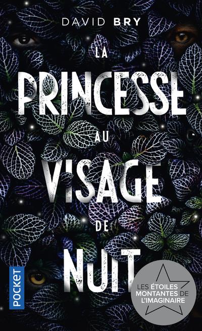 LA PRINCESSE AU VISAGE DE NUIT