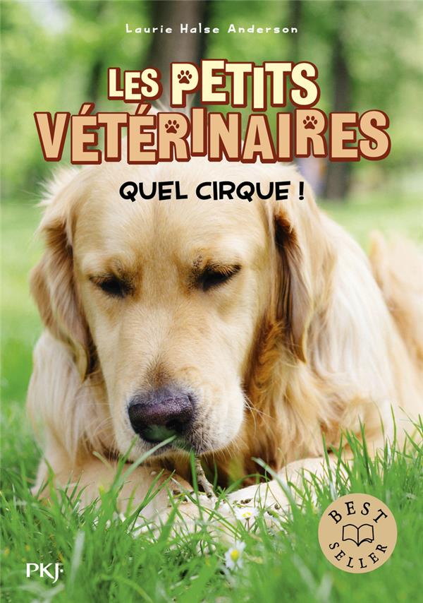 LES PETITS VETERINAIRES - TOME 25 QUEL CIRQUE ! - VOL25