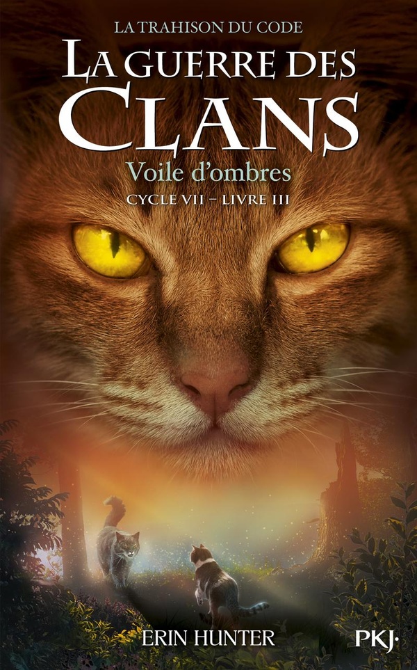 LA GUERRE DES CLANS CYCLE VII - TOME 3 VOILE D'OMBRES