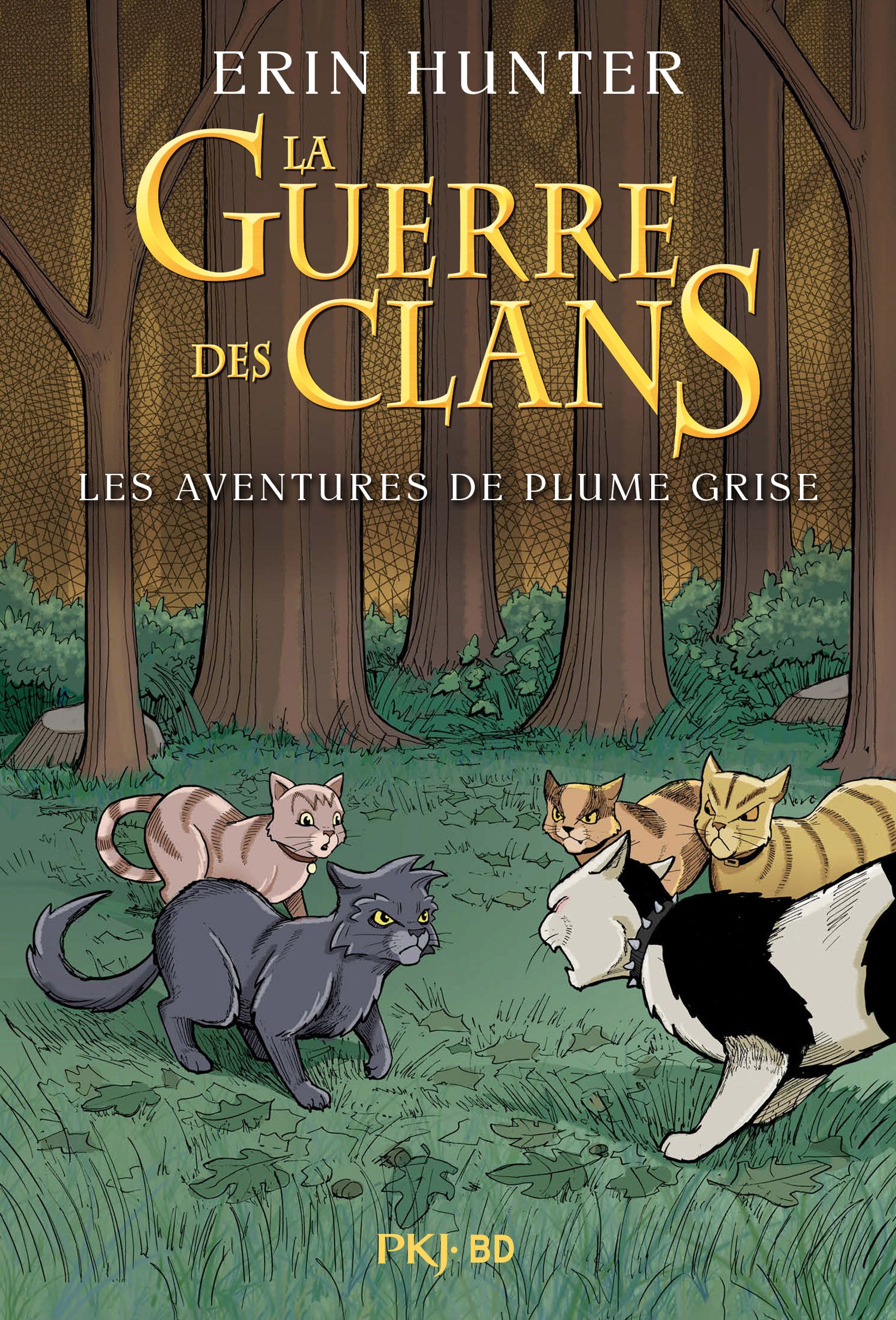 HORS COLLECTION SERIEL - LA GUERRE DES CLANS ILLUSTREE - LES AVENTURES DE PLUME GRISE