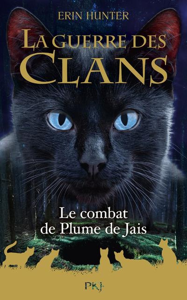GUERRE DES CLANS HS TOME 12 : LE COMBAT DE PLUME DE JAIS - HORS-SERIE 12 CROWFEATHER'S TRIAL