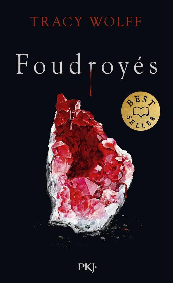 ASSOIFFES - TOME 02 : FOUDROYES