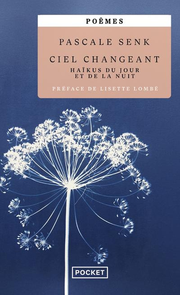 CIEL CHANGEANT - HAIKUS DU JOUR ET DE LA NUIT