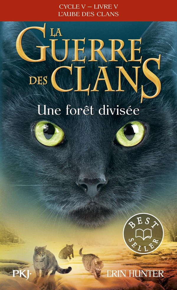 LA GUERRE DES CLANS - CYCLE V L'AUBE DES CLANS - TOME 5 UNE FORET DIVISEE