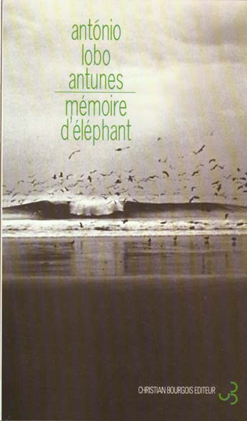 MEMOIRE D'ELEPHANT