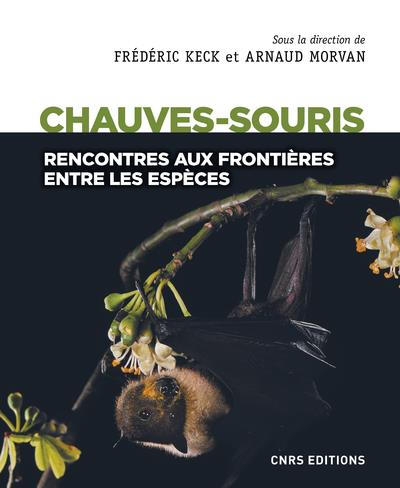 CHAUVES-SOURIS - RENCONTRES AUX FRONTIERES ENTRE LES ESPECES