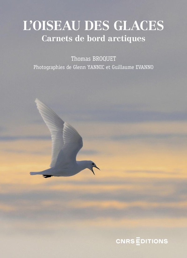 L'OISEAU DES GLACES. CARNETS DE BORD ARCTIQUES