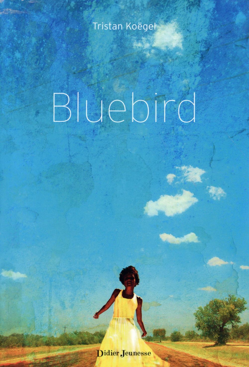 BLUEBIRD