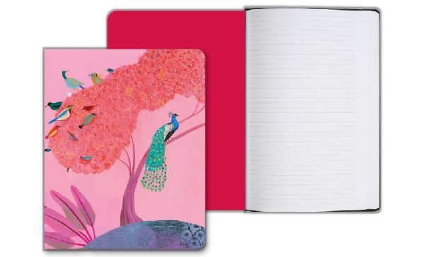 GRAND CARNET OISEAUX