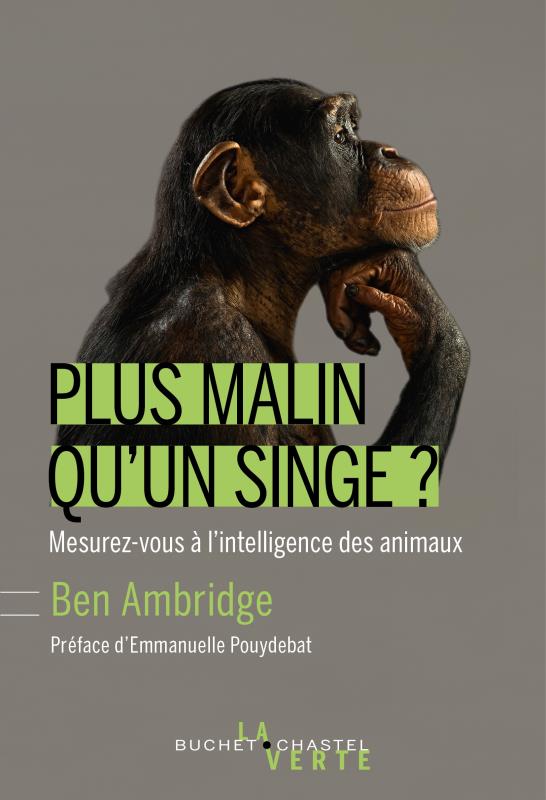 PLUS MALIN QU'UN SINGE? - MESUREZ-VOUS A L'INTELLIGENCE DES ANIMAUX?