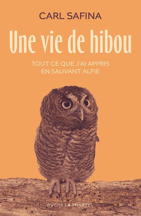 UNE VIE DE HIBOU - TOUT CE QUE J'AI APPRIS EN SAUVANT ALFIE