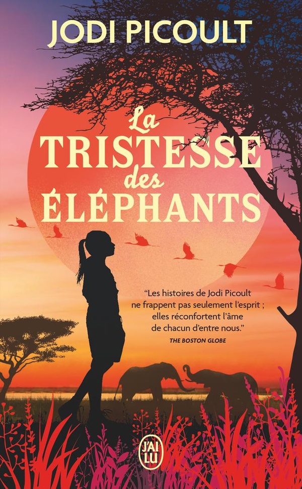 LA TRISTESSE DES ELEPHANTS