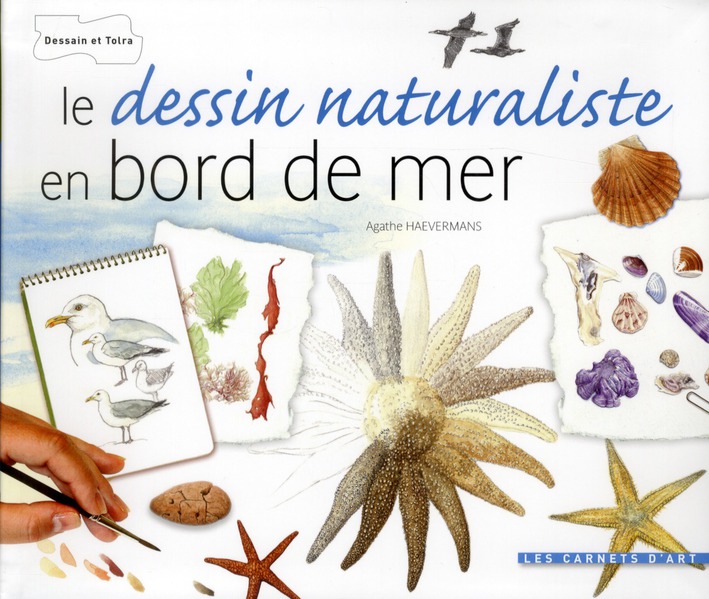 LE DESSIN NATURALISTE - BORDS DE MER