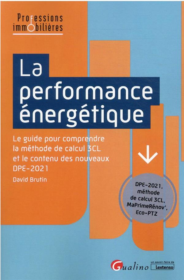 LA PERFORMANCE ENERGETIQUE - UNE PRESENTATION DE TOUS LES ASPECTS THEORIQUES ET PRATIQUES DU DPE LA PERFORMANCE ENERGETIQUE - UNE PRESENTATION DE TOUS LES ASPECTS THEORIQUES ET PRATIQUES DU DPE