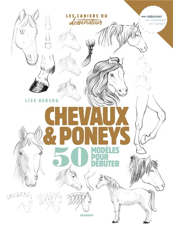 DESSINER CHEVAUX ET PONEYS